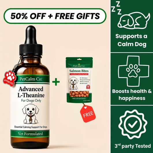 Advanced L-Theanine