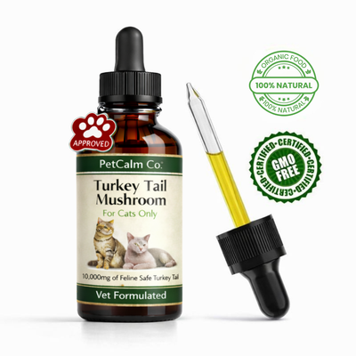 PetCalm Co™ Advanced Catnip Oil