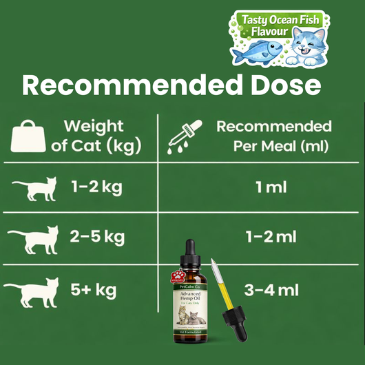 PetCalm Co™ Advanced Catnip Oil