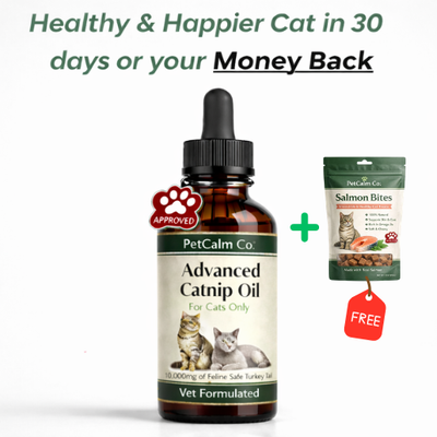 PetCalm Co™ Advanced Catnip Oil