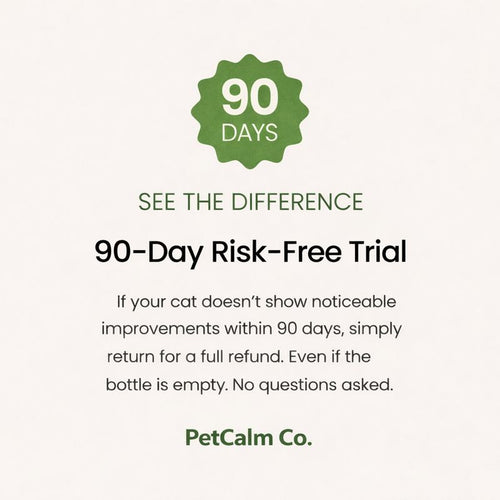 Advanced Daily Multivitamin