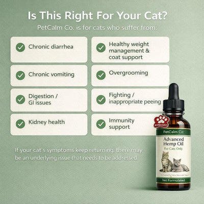PetCalm Co™ Advanced Hemp Oil