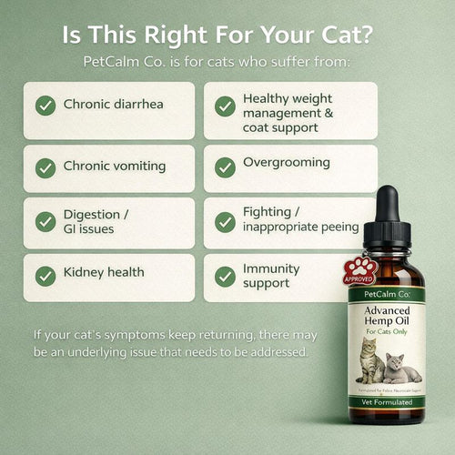 PetCalm Co™ Advanced Hemp Oil