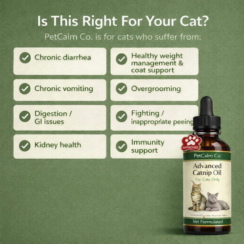 PetCalm Co™ Advanced Catnip Oil