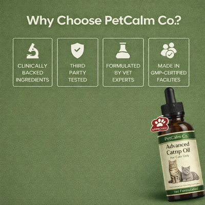 PetCalm Co™ Advanced Catnip Oil