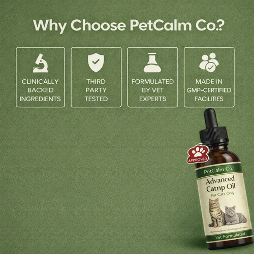 PetCalm Co™ Advanced Catnip Oil