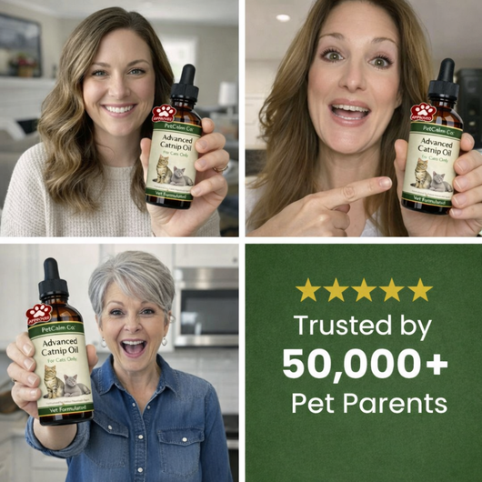 PetCalm Co™ Advanced Catnip Oil