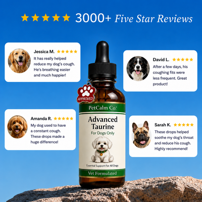 Advanced Taurine