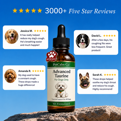 Advanced Taurine