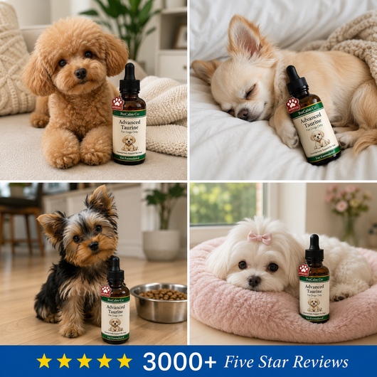Advanced Taurine