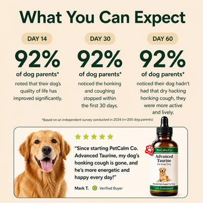 Advanced Taurine