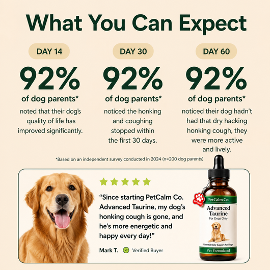 Advanced Taurine