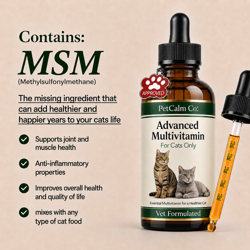 Advanced Daily Multivitamin