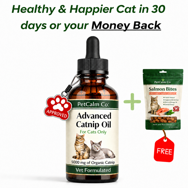 PetCalm Co™ Advanced Catnip Oil