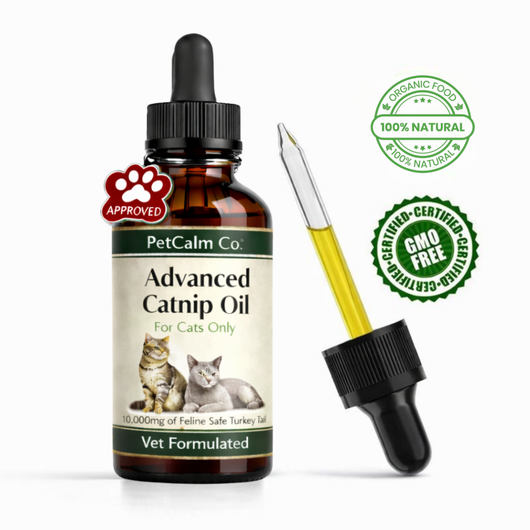 PetCalm Co™ Advanced Catnip Oil