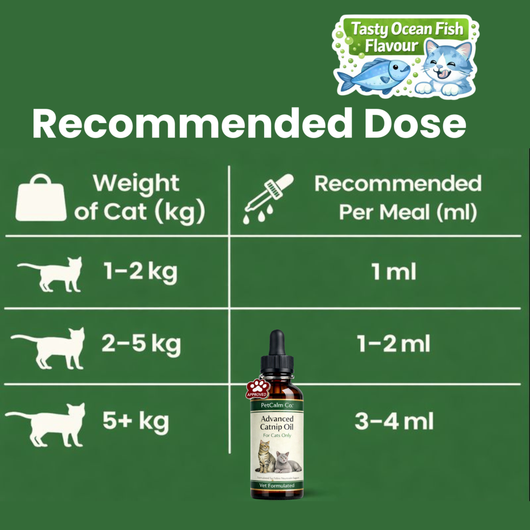 PetCalm Co™ Advanced Catnip Oil