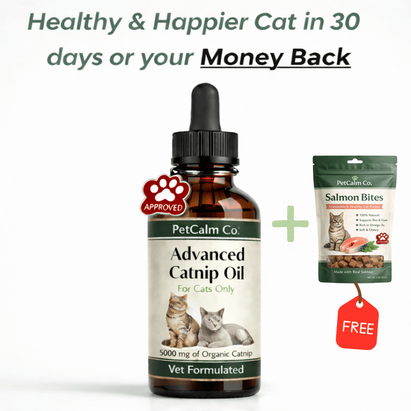 PetCalm Co™ Advanced Catnip Oil
