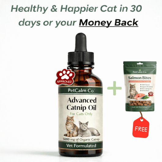 PetCalm Co™ Advanced Catnip Oil