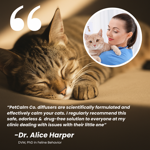 Advanced Cat Calming Diffuser