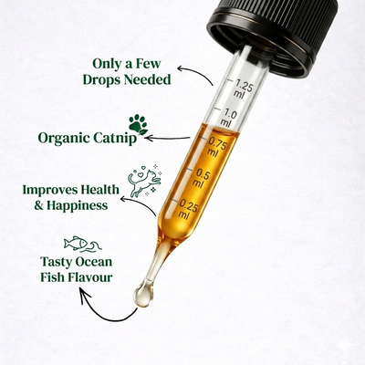PetCalm Co™ Advanced Catnip Oil.