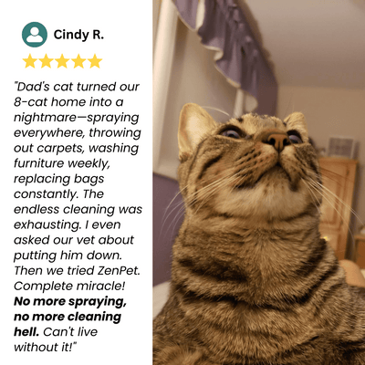 Advanced Cat Calming Diffuser